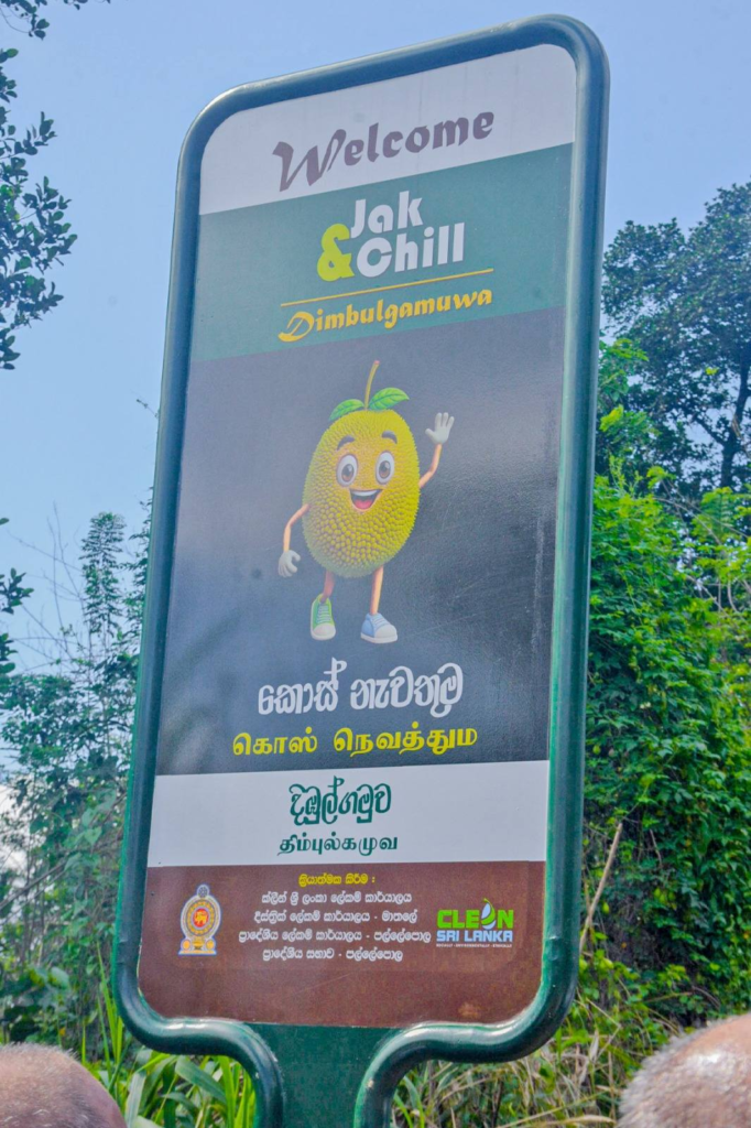 දිඹුල්ගමුවේ කොස් වෙළදුන්ට ක්ලීන් ශ්රි ලංකාව ව්යාපෘතියෙන් ලක්ෂ 90ක කොස් කඩ ලබා දෙයි 3 Iri News image 8 Iri News